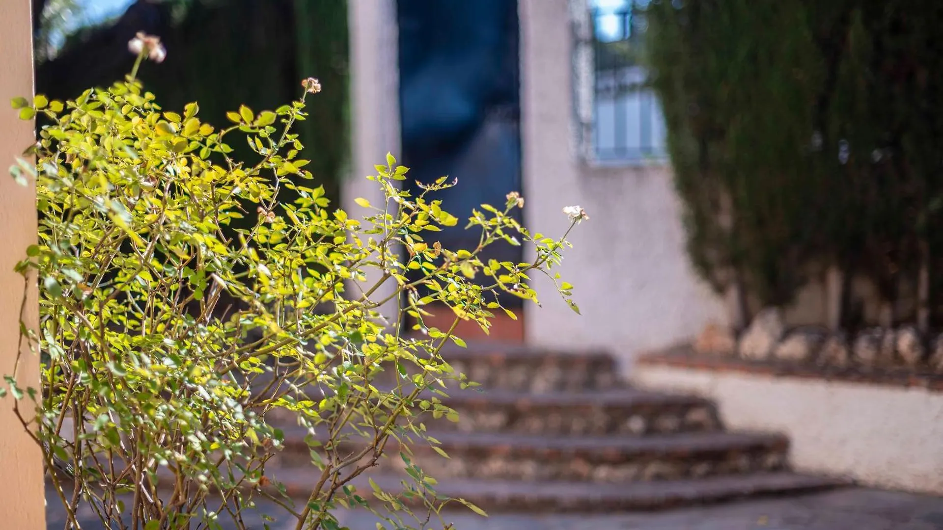 Cortijo De La Vega Villa Las Gabias Spain